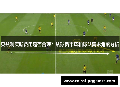 贝兹利买断费用是否合理?从球员市场和球队需求角度分析 贝兹利买断费用是否合理?从球员市场和球队需求角度分析