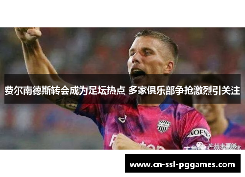 费尔南德斯转会成为足坛热点 多家俱乐部争抢激烈引关注 费尔南德斯转会成为足坛热点 多家俱乐部争抢激烈引关注