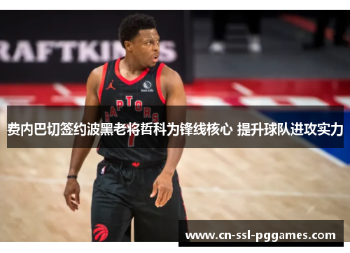 费内巴切签约波黑老将哲科为锋线核心 提升球队进攻实力 费内巴切签约波黑老将哲科为锋线核心 提升球队进攻实力